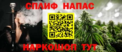 ECSTASY Ливны
