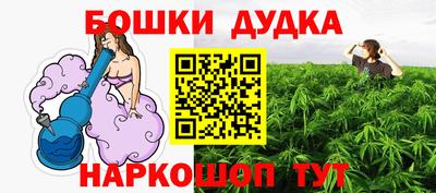 прущие грибы Лесосибирск