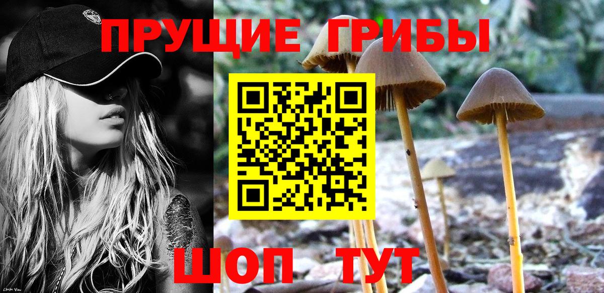 Канаш  сколько стоит  Псилоцибиновые грибы Magic Shrooms  Вход с VPN  Псилоцибиновые грибы Psilocybe 